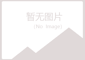 山西夏青会计有限公司